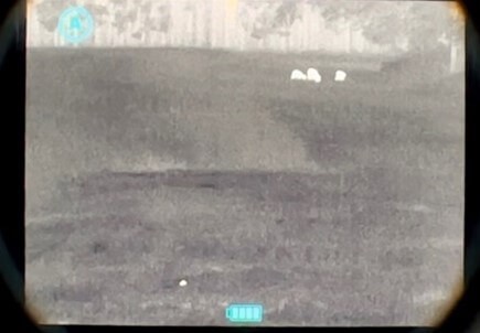 Reh mit 2 Kitzen - Viper