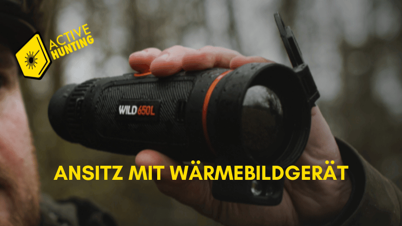 Ansitz mit Wärmebild – worauf achten, damit man nichts übersieht?