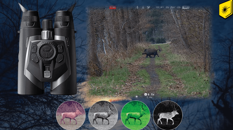 Pulsar Symbion Modi Ansichten