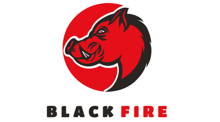 Black Fire Logo
