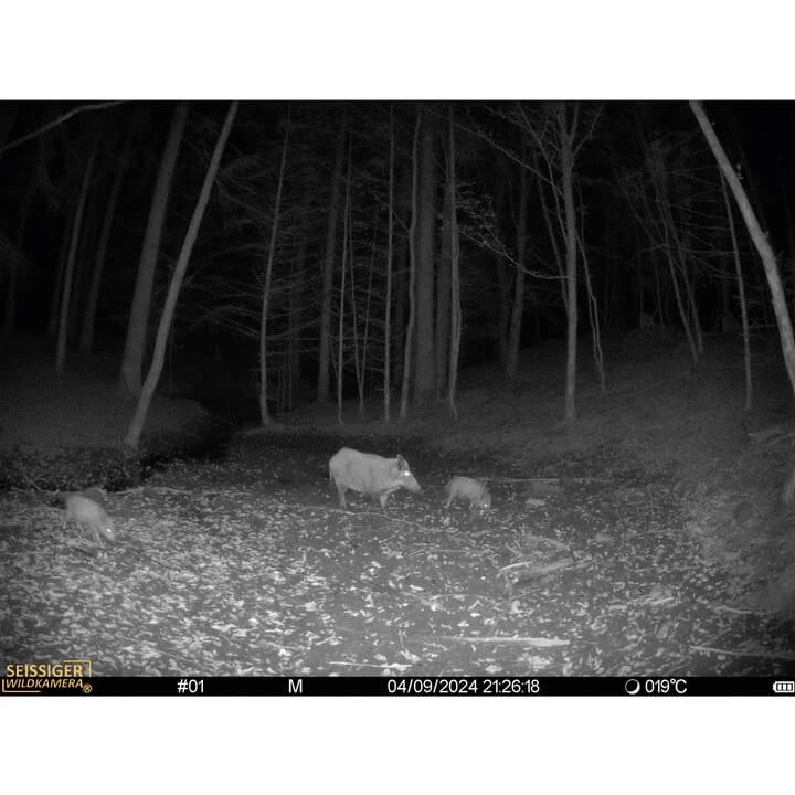 Seissiger Mini Cam Aufnahme Dunkelheit