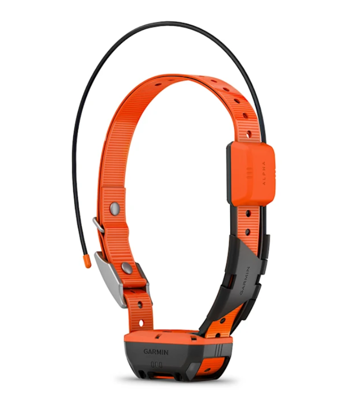 Garmin Alpha T 20 K GPS-Hundehalsband seitlich1