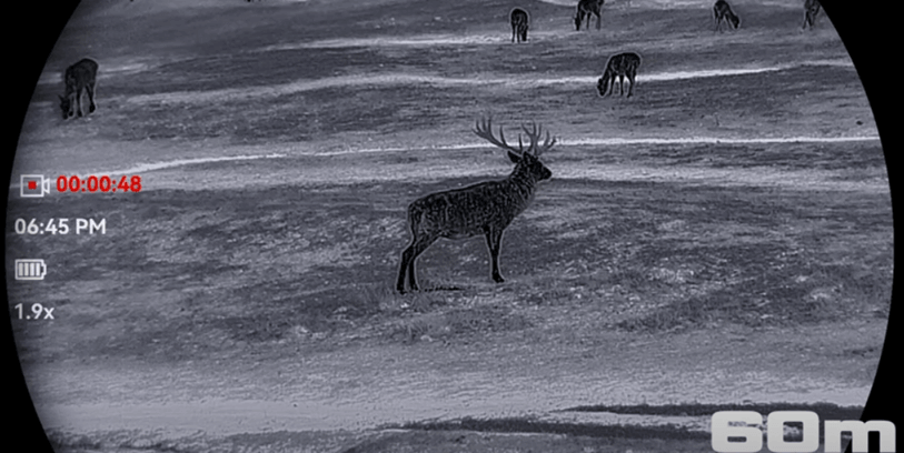 Falcon 2.0 Revieraufnahme bei 60m Falcon 2.0 Revieraufnahme bei 60m