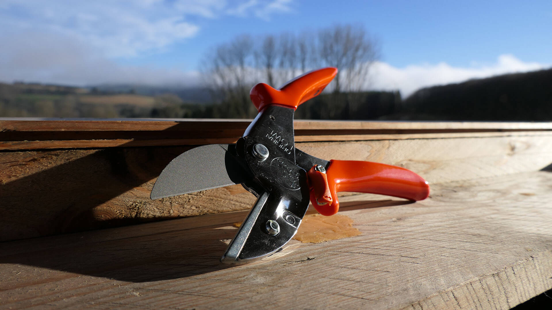 L&ouml;we Jagdschere