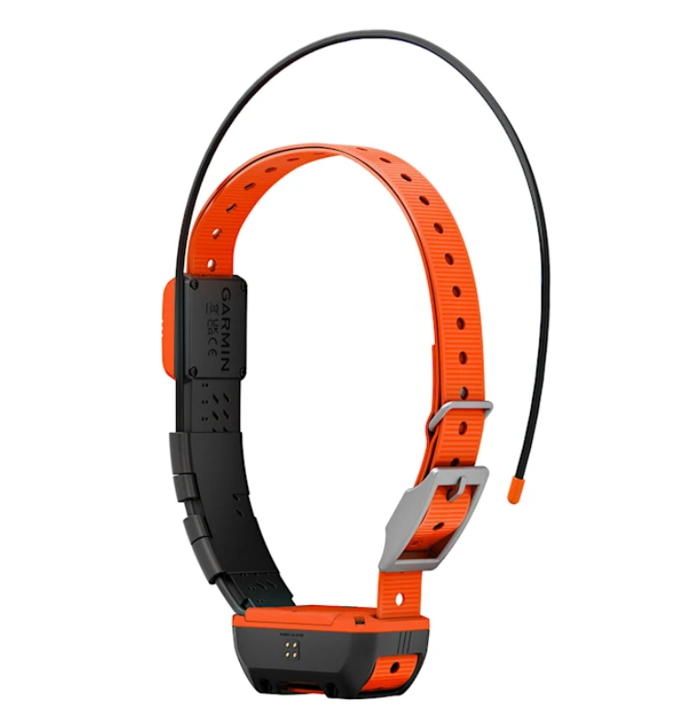 Garmin Alpha T 20 K GPS-Hundehalsband seitlich3