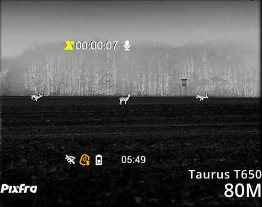 Pixfra Taurus Aufnahme