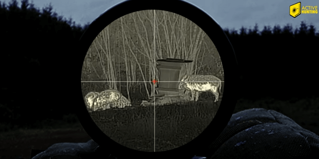 Hikmicro Thunder 30 TQ35CL mit Zielfernrohr