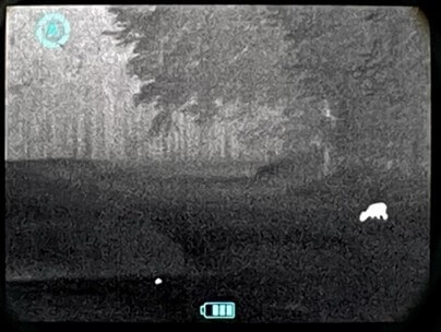 Reh auf 100m mit dem Nitehog Viper