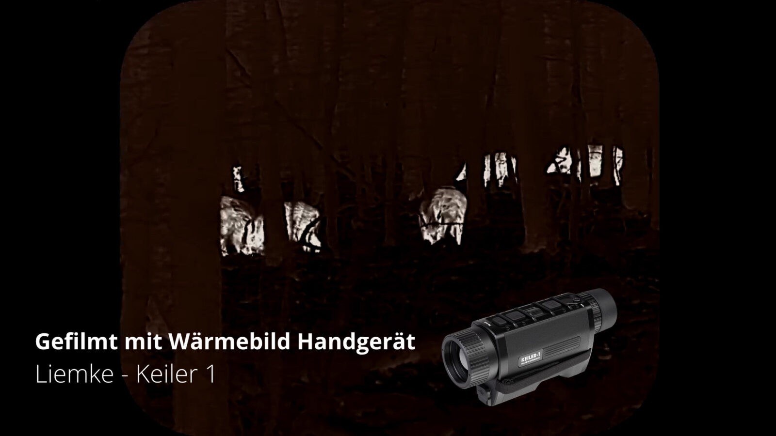 Waidgerechtigkeit