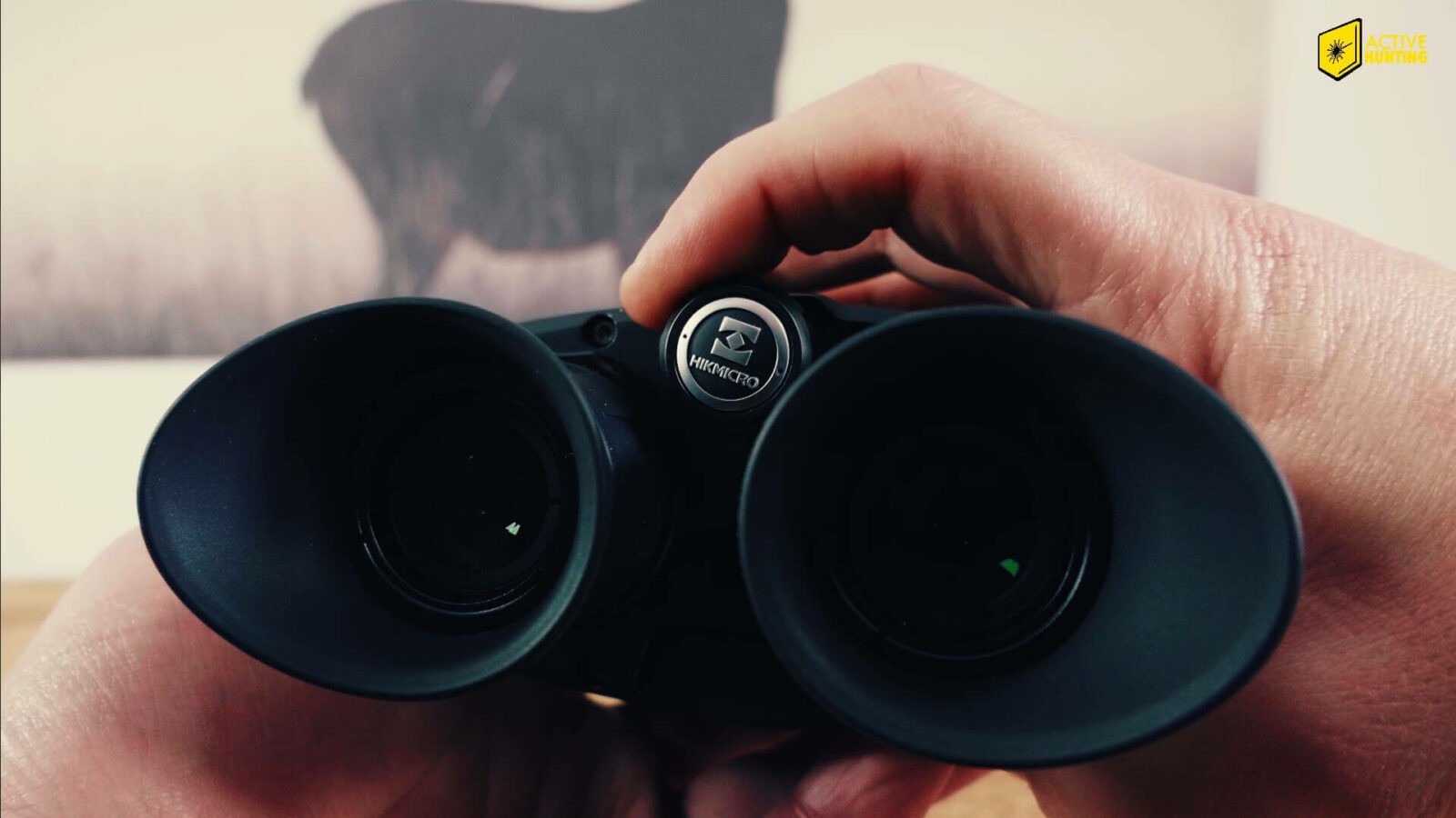 HikMicro Raptor RQ50LN 