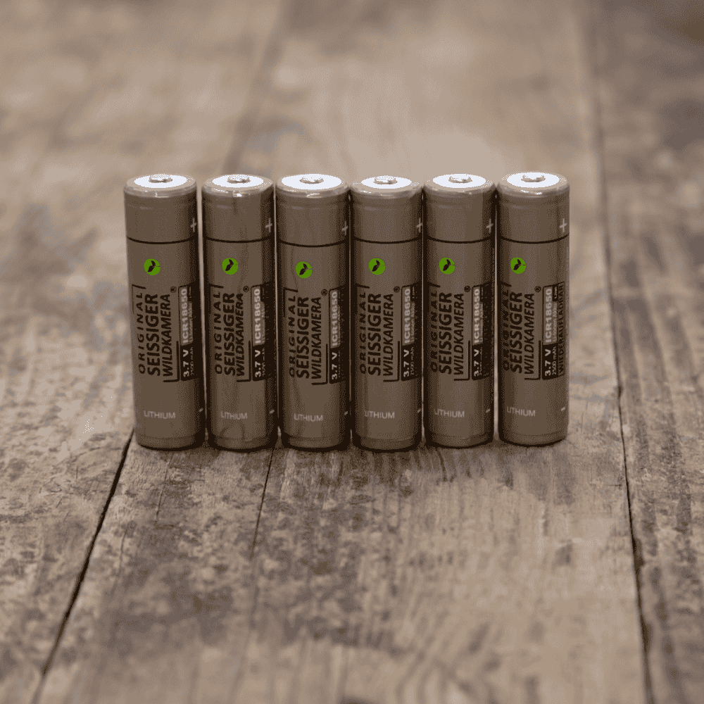 Seissiger 18650 Lithium-Ionen Akkus 