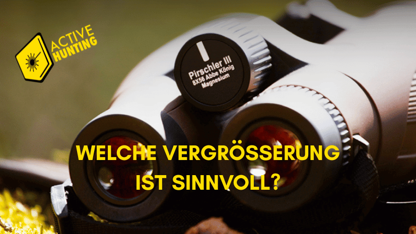 Fernglas: Welche Vergrößerung ist sinnvoll?