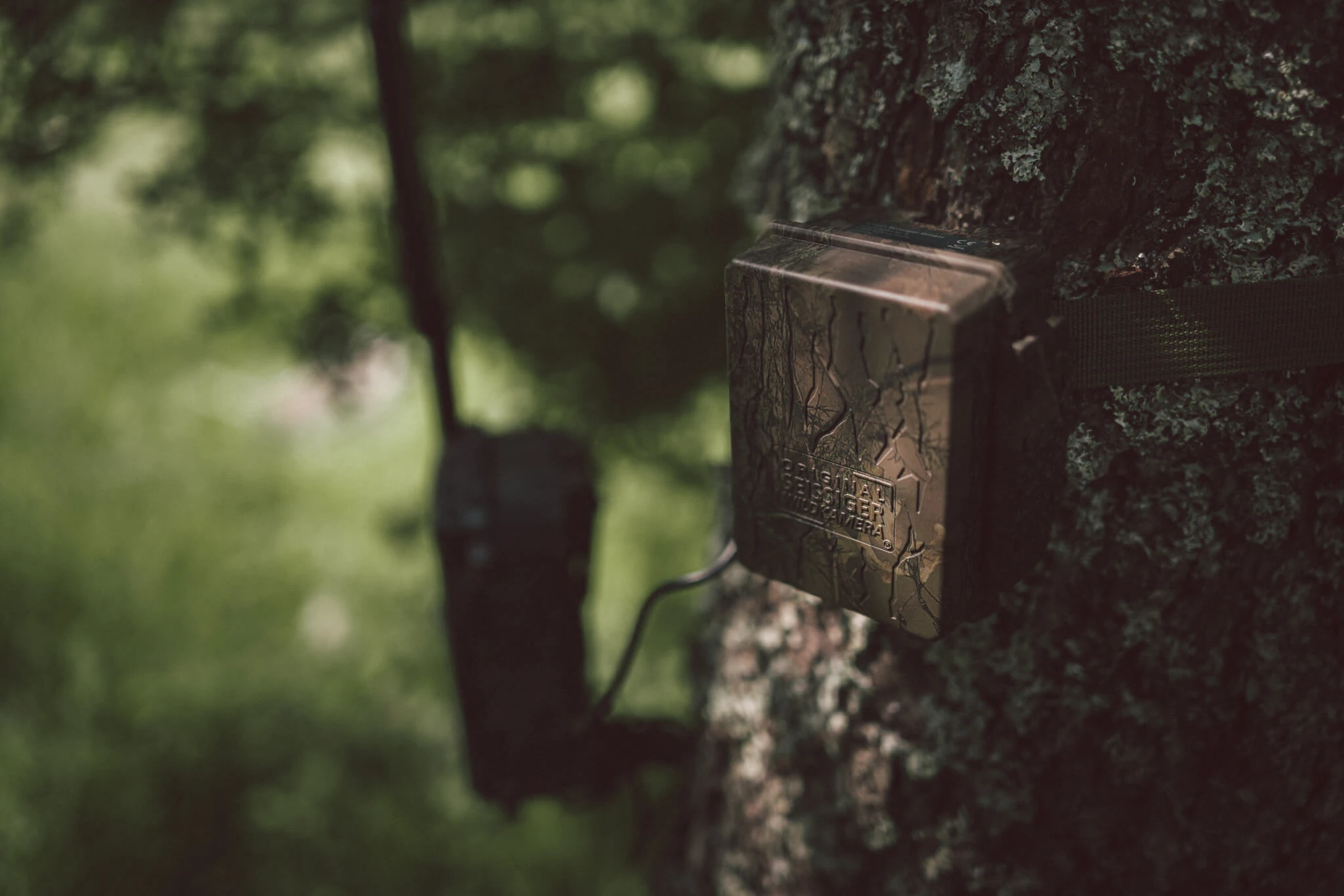 Seissiger externer Akku montiert Seissiger externer Akku montiert