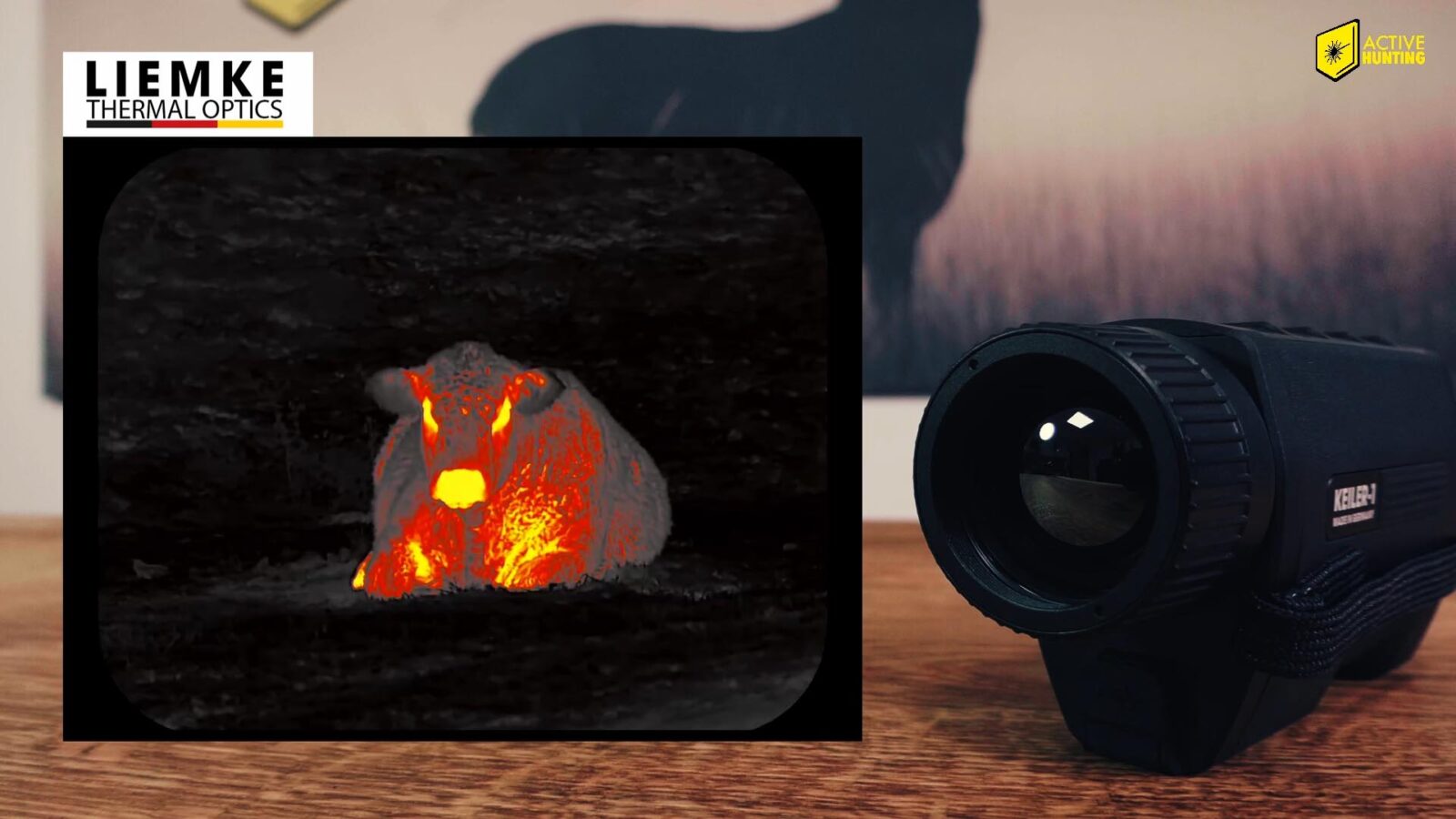 W&auml;rmebild Ger&auml;t Liemke Keiler 1