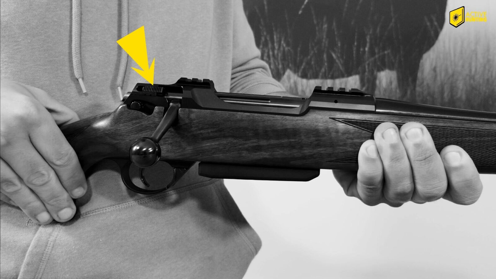 Ansch&uuml;tz 1782 Black Line