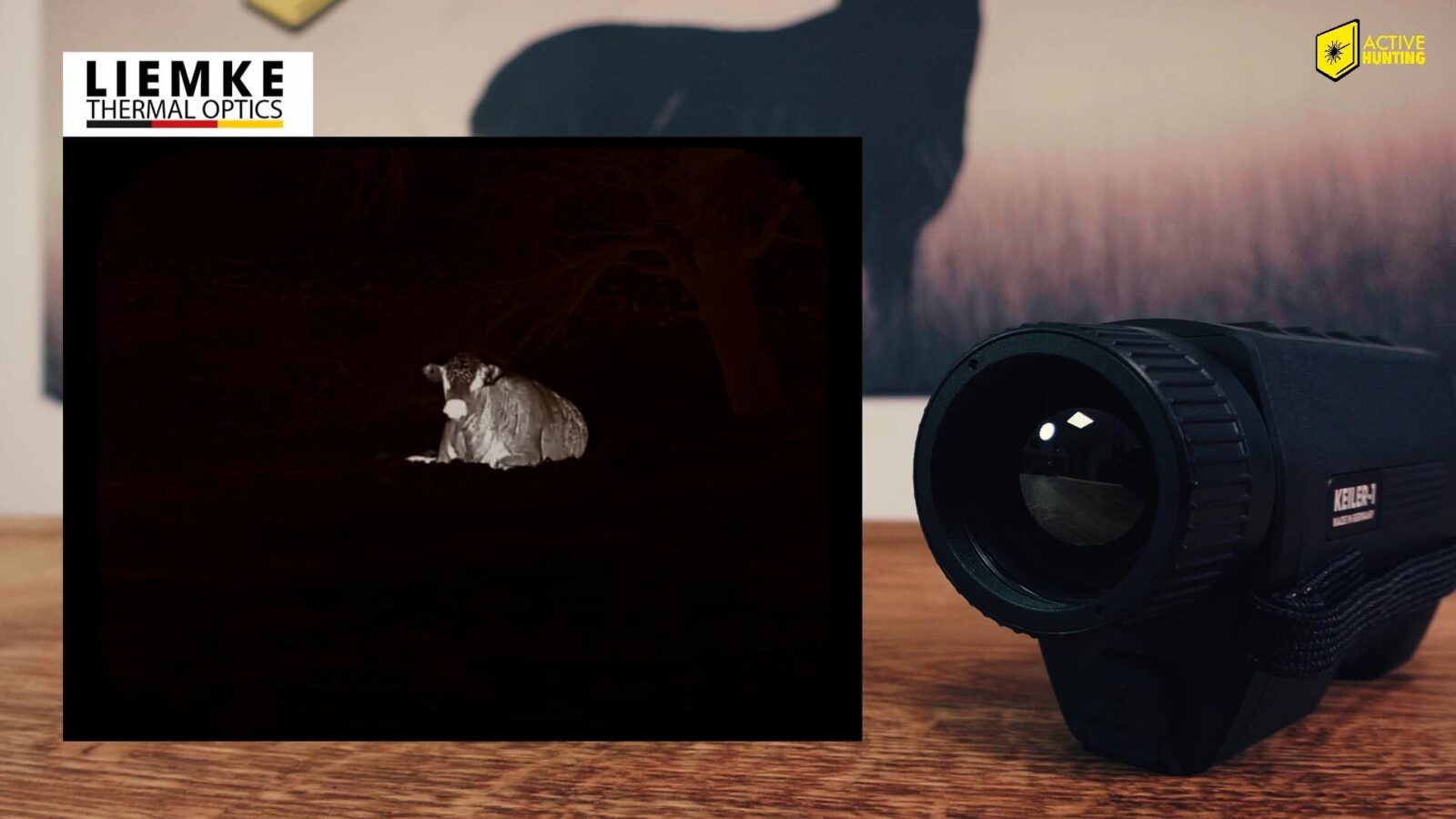 W&auml;rmebild Ger&auml;t Liemke Keiler 1