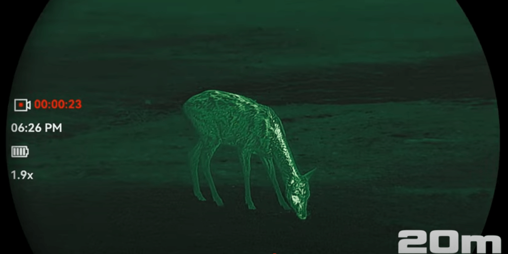 Falcon 2.0 Revieraufnahme bei 20m grün Falcon 2.0 Revieraufnahme bei 20m grün