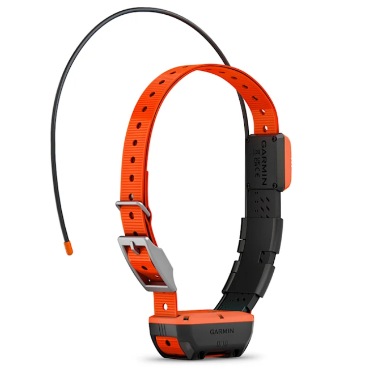 Garmin Alpha T 20 K GPS-Hundehalsband seitlich2