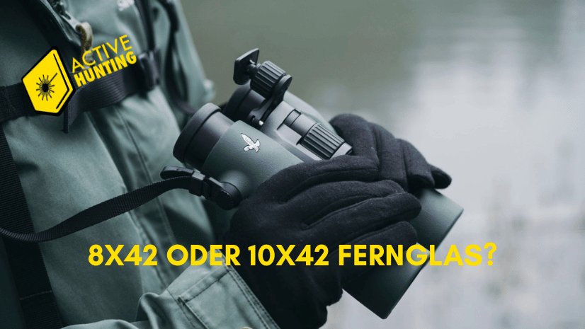 8x42 oder 10x42? Die Vergrößerungsfrage beim Jagdfernglas