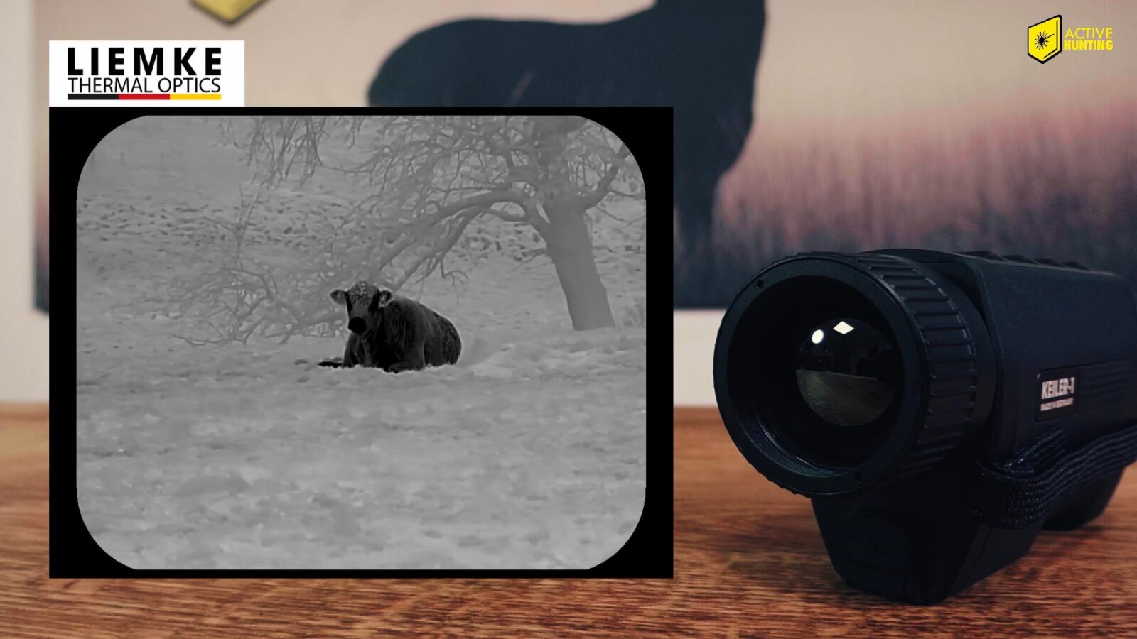 W&auml;rmebild Ger&auml;t Liemke Keiler 1