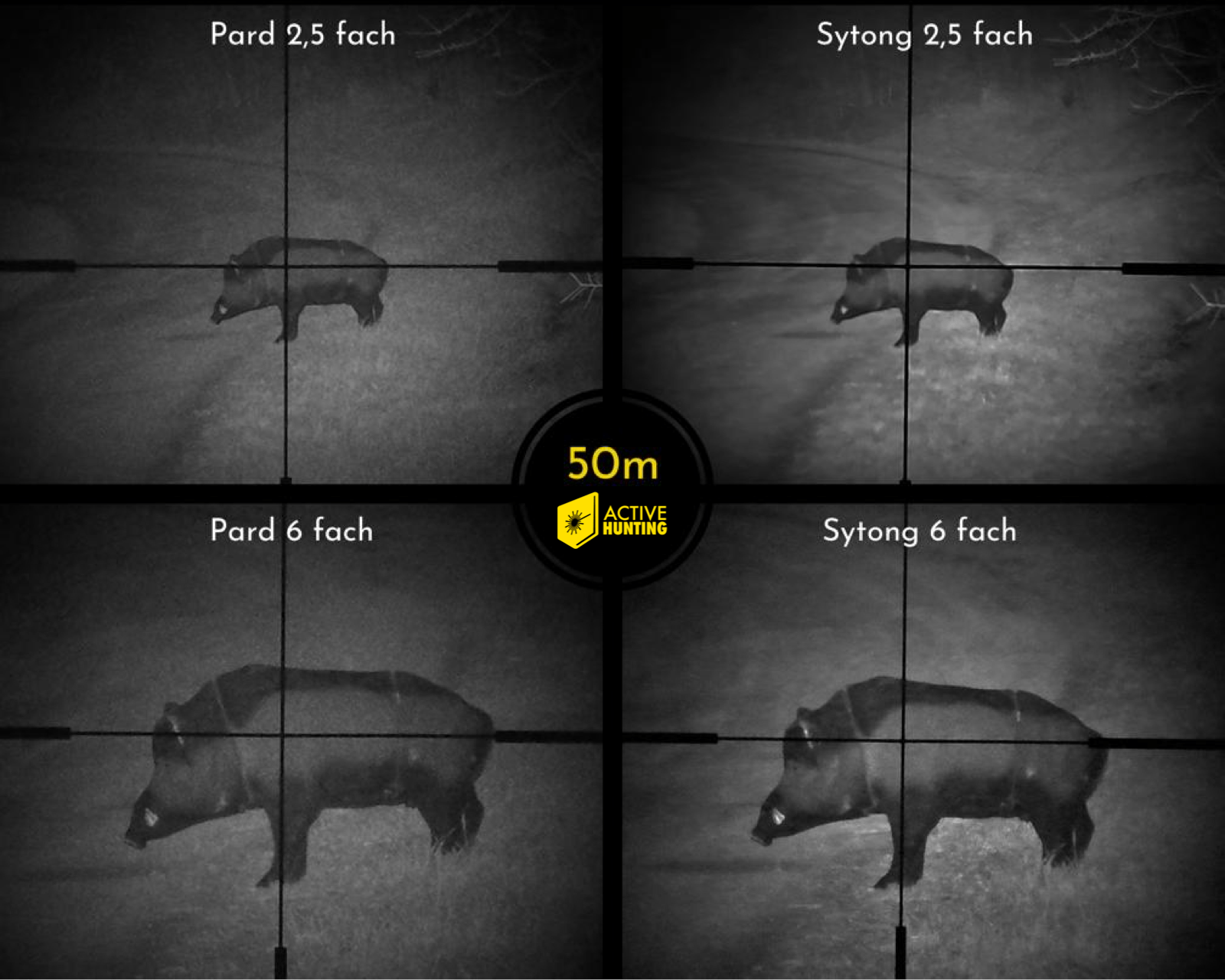 Sytong / Pard auf 50m