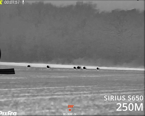 Pixfra Sirius Aufnahme 250M  Pixfra Sirius Aufnahme 250M
