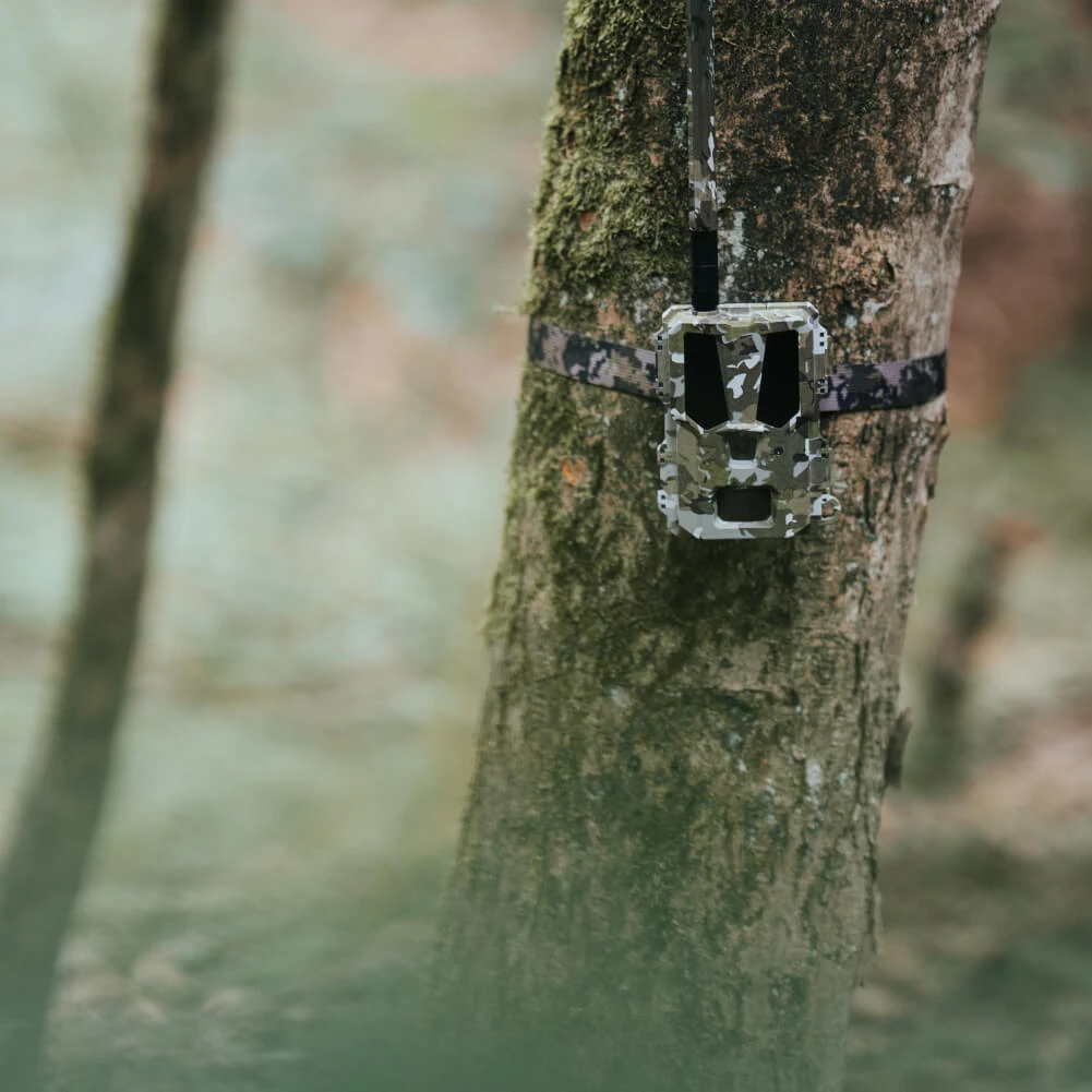 Modernhunter Hunter 4G Mini 2