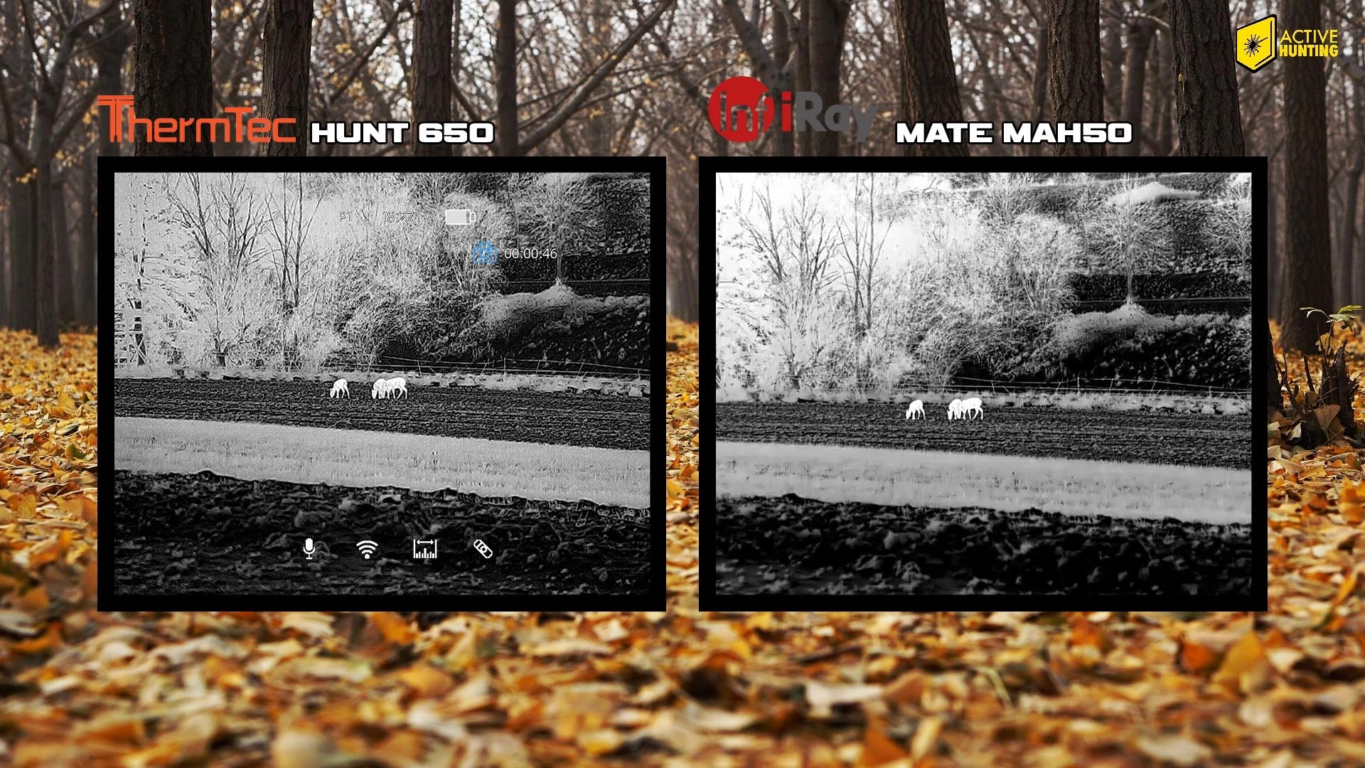 Thermtec Hunt 650 und Infiray Mate MAH50 Aufnahmen Vergleich 2