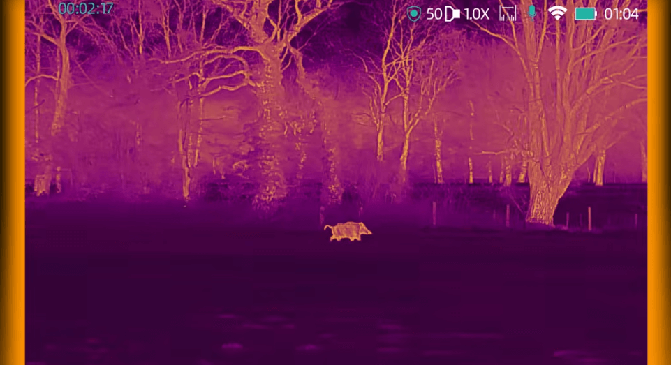 ThermTec Wild 650DL Revieraufnahme violett