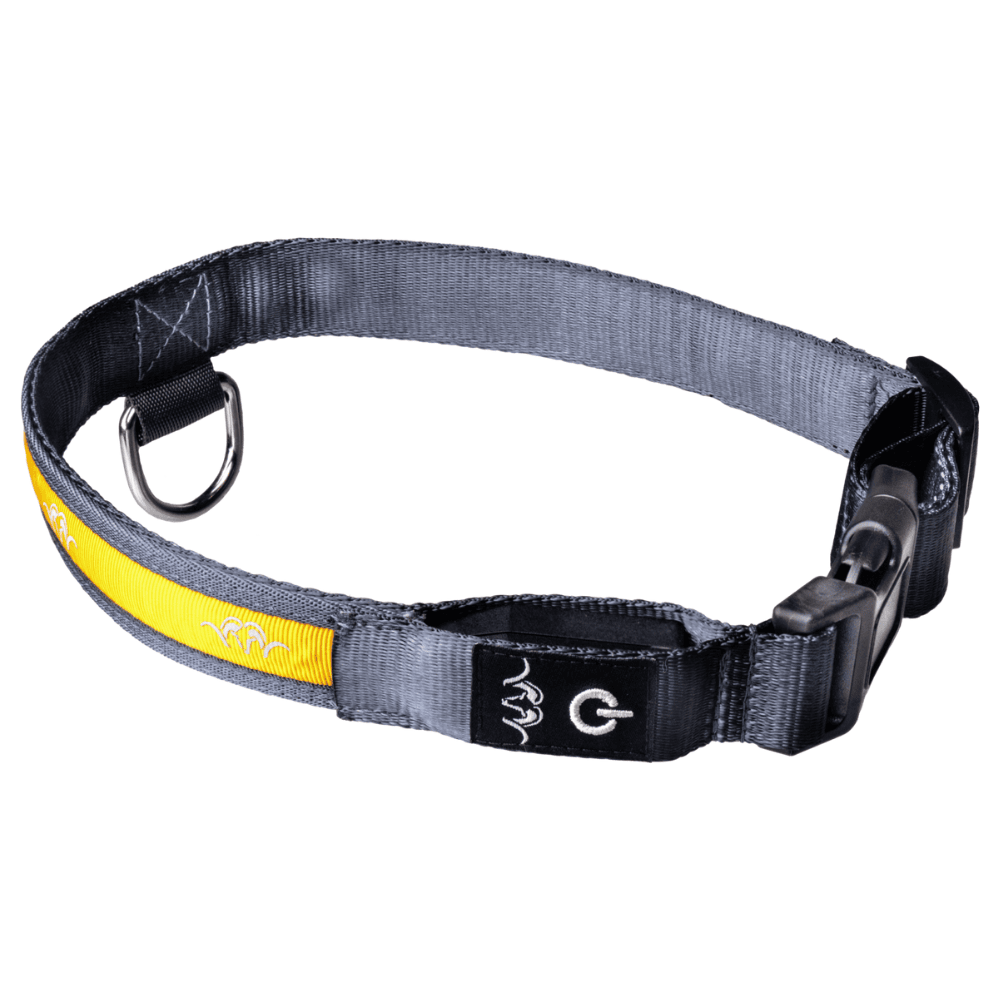 Blaser LED Hundehalsband
