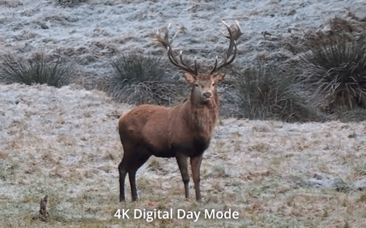 Hikmicro Habrok 4K HE25L 2.0 4K Digital Day Mode